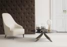 Vanessa modern armchair and Circus coffee table