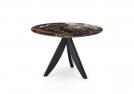 Black&Gold marble coffee table with wengé base - BertO Outlet